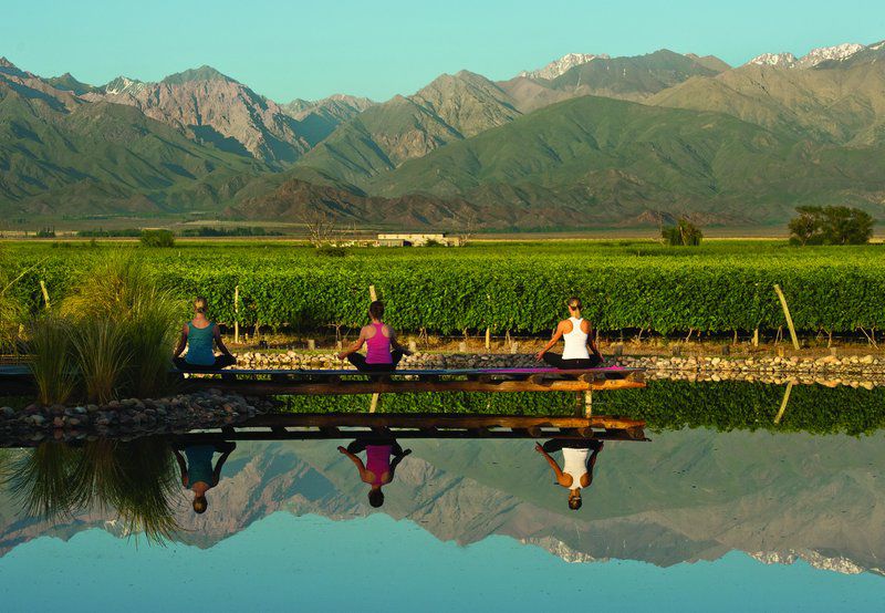 The Vines Resort & Spa Los Sauces  외부 사진