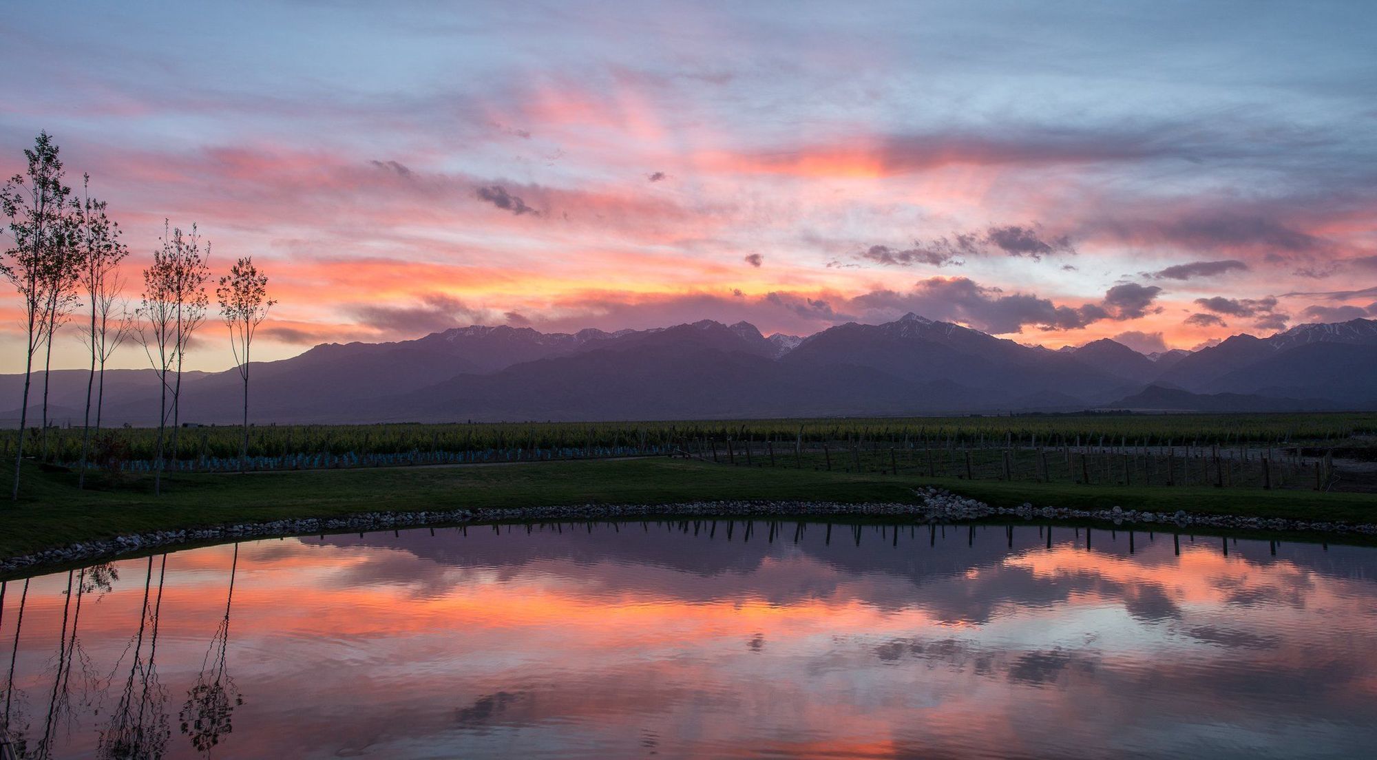 The Vines Resort & Spa Los Sauces  외부 사진
