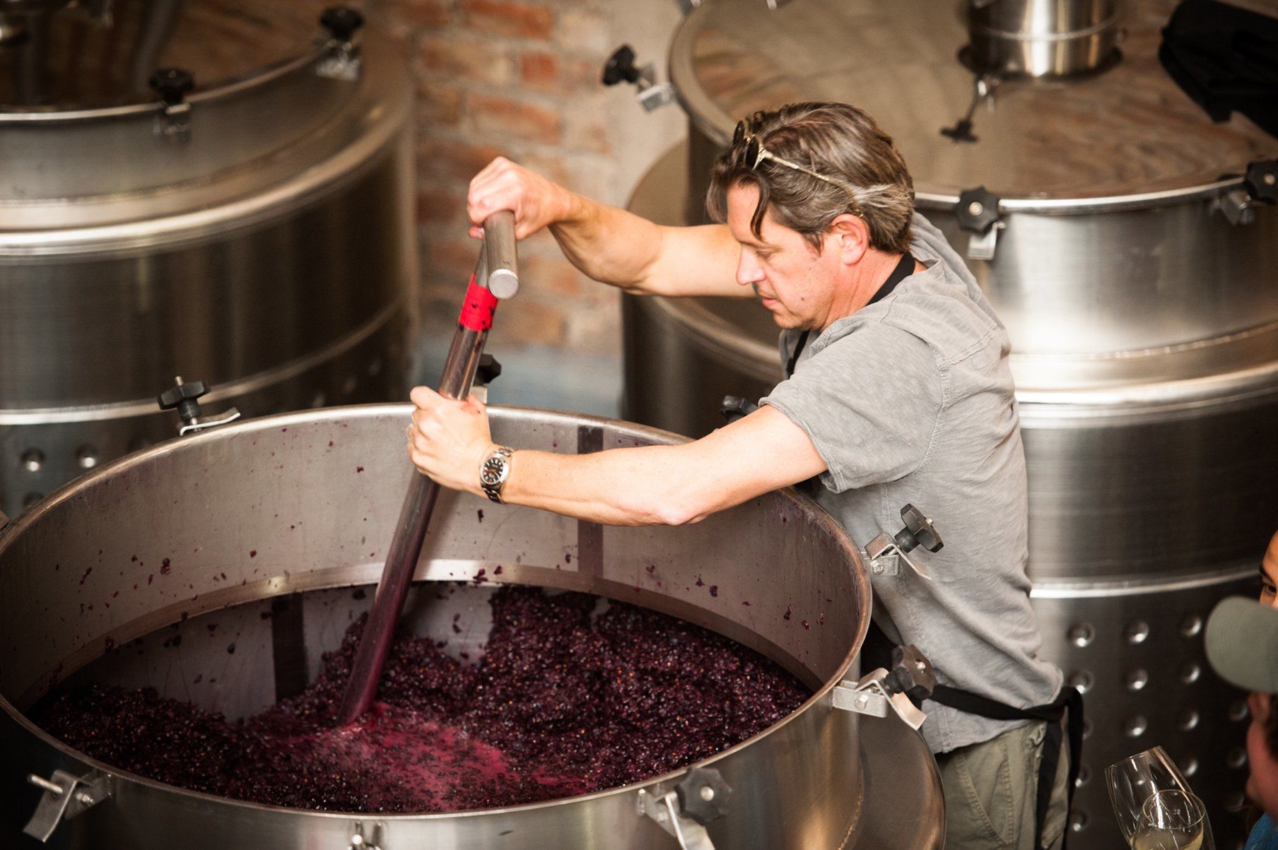The Vines Resort & Spa Los Sauces  외부 사진